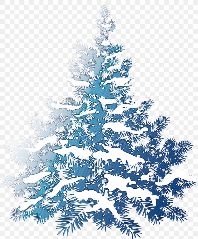 Christmas Tree, PNG, 1612x1951px, Watercolor, Balsam Fir, Christmas Tree, Colorado Spruce, Fir Download Free