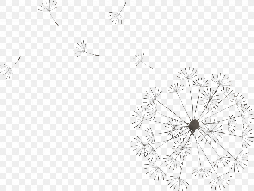 Dandelion, PNG, 3000x2263px, Dandelion, Flower, Geometry, Line, Line Art Download Free