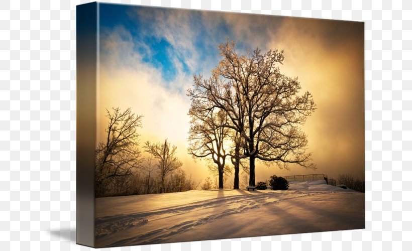 Painting Landscape Winter Sunset, PNG, 650x500px, Painting, Art, Branch, Fineart Photography, Landscape Download Free