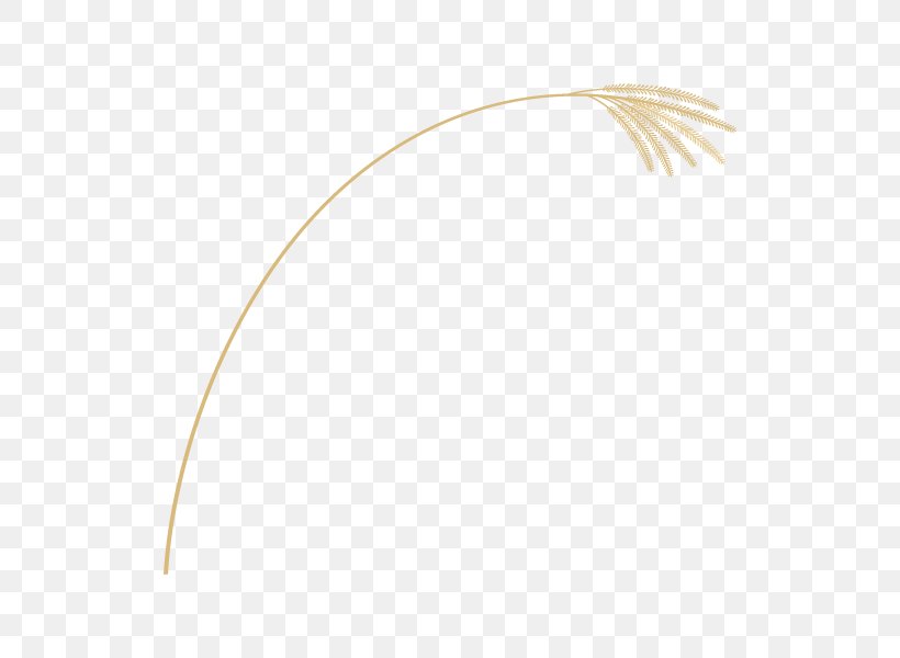 Product Design Line Feather, PNG, 600x600px, Feather, Beige, Fashion Accessory, Headgear, Quill Download Free