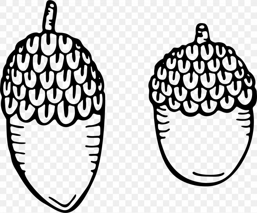 Drawing Clip Art, PNG, 2312x1922px, Drawing, Acorn, Acorn Squash, Art, Black And White Download Free