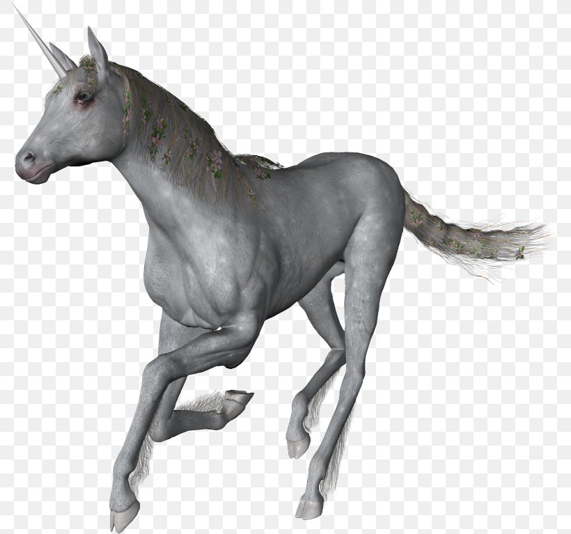 Horse Unicorn Horn DeviantArt, PNG, 790x767px, Horse, Art, Black And White, Colt, Deviantart Download Free