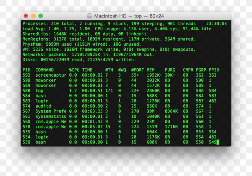 Terminal MacOS Operating Systems, PNG, 1200x841px, Terminal, Apple, Brand, Commandline Interface, Computer Software Download Free