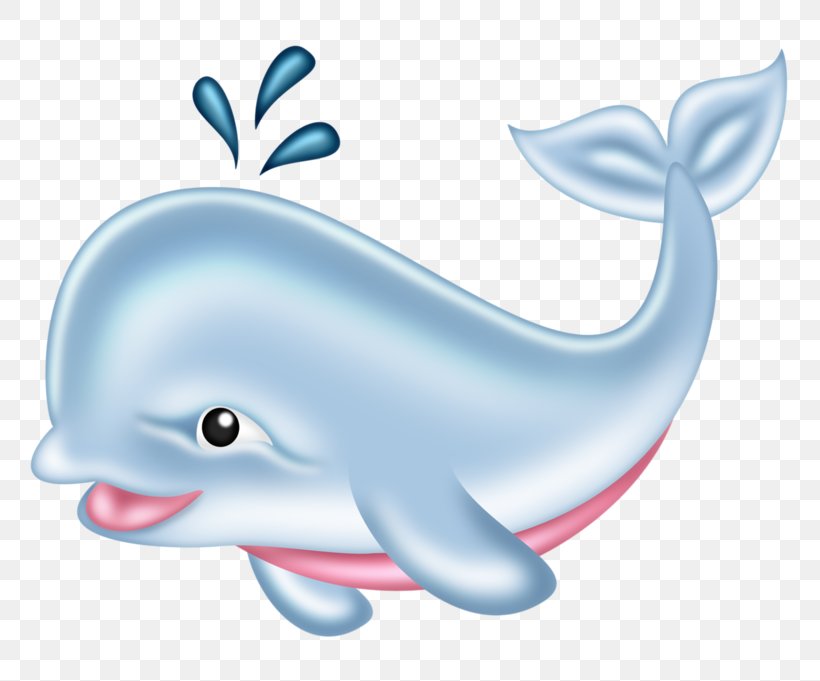 Drawing Whale Clip Art, PNG, 800x681px, Common Bottlenose Dolphin, Blue, Bottlenose Dolphin, Cartoon, Clip Art Download Free
