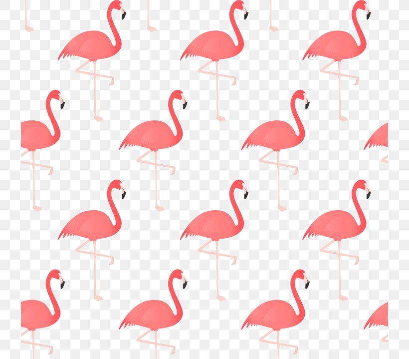 Flamingo Bird Drawing, PNG, 736x719px, Flamingo, Beak, Bird, Drawing, Flamingos Download Free