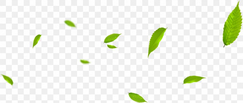 Leaf, PNG, 1698x723px, Leaf, Brand, Grass, Green, Logo Download Free