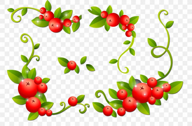 Mors Cranberry Digital Image Clip Art, PNG, 2166x1422px, Mors, Acerola, Acerola Family, Aquifoliaceae, Auglis Download Free