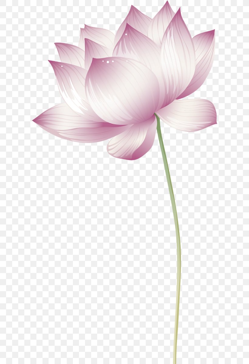 Nelumbo Nucifera Clip Art, PNG, 612x1200px, Nelumbo Nucifera, Aquatic Plant, Art, Buddhism, Cut Flowers Download Free