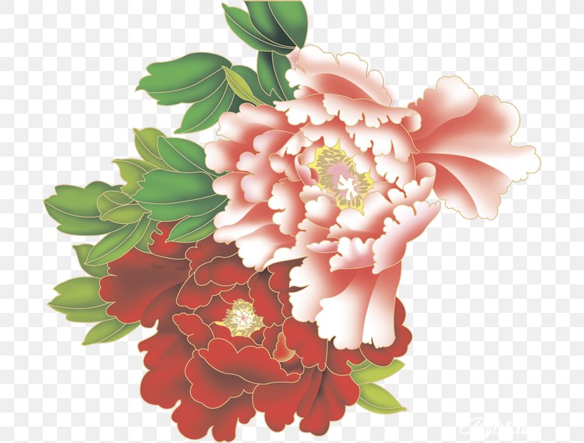 Flower Moutan Peony Clip Art, PNG, 700x623px, Flower, Annual Plant, Archive File, Blossom, Carnation Download Free