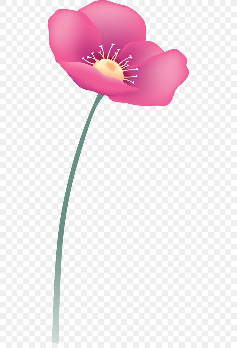 Opium Poppy Green Red Flower, PNG, 488x1200px, Poppy, Flora, Flower, Flowering Plant, Green Download Free