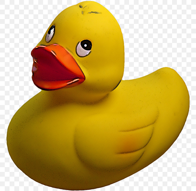 Rubber Ducky Bath Toy Yellow Bird Ducks, Geese And Swans, PNG, 771x800px, Rubber Ducky, Bath Toy, Beak, Bird, Duck Download Free