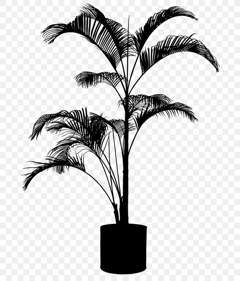 Asian Palmyra Palm Babassu Palm Trees Plants, PNG, 700x960px, Asian Palmyra Palm, Arecales, Attalea, Attalea Speciosa, Babassu Download Free