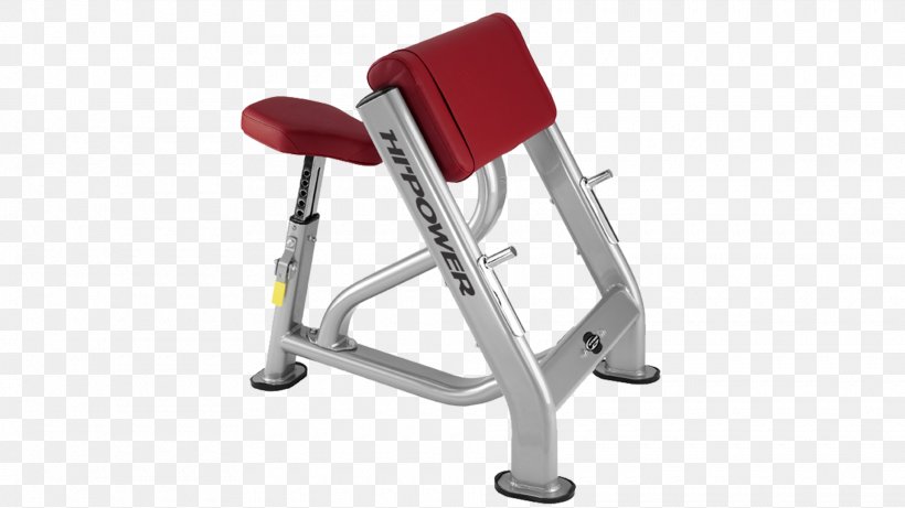 Biceps Curl Bench Panca Scott Exercise, PNG, 1920x1080px, Biceps Curl, Bench, Biceps, Chair, Dumbbell Download Free