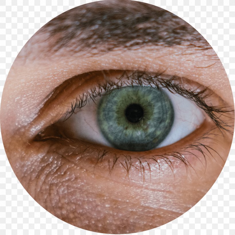 Human Eye Eye Examination Visual Perception Pupil, PNG, 1200x1200px, Watercolor, Cartoon, Flower, Frame, Heart Download Free