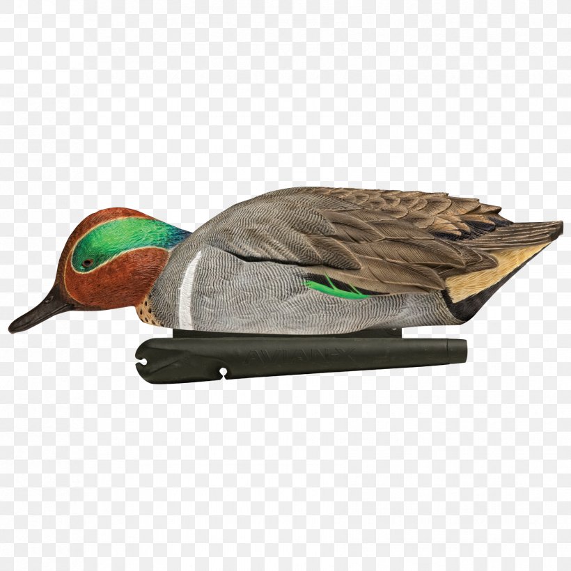 Mallard Duck Decoy Goose Duck Decoy, PNG, 1704x1704px, Mallard, Anseriformes, Beak, Bird, Canada Goose Download Free