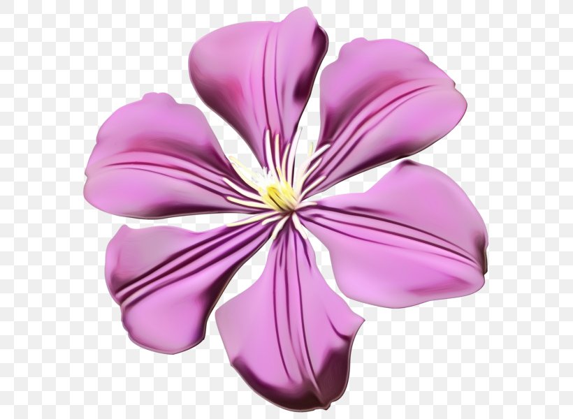 Petal Flower Purple Pink Violet, PNG, 597x600px, Watercolor, Flower, Flowering Plant, Herbaceous Plant, Hibiscus Download Free