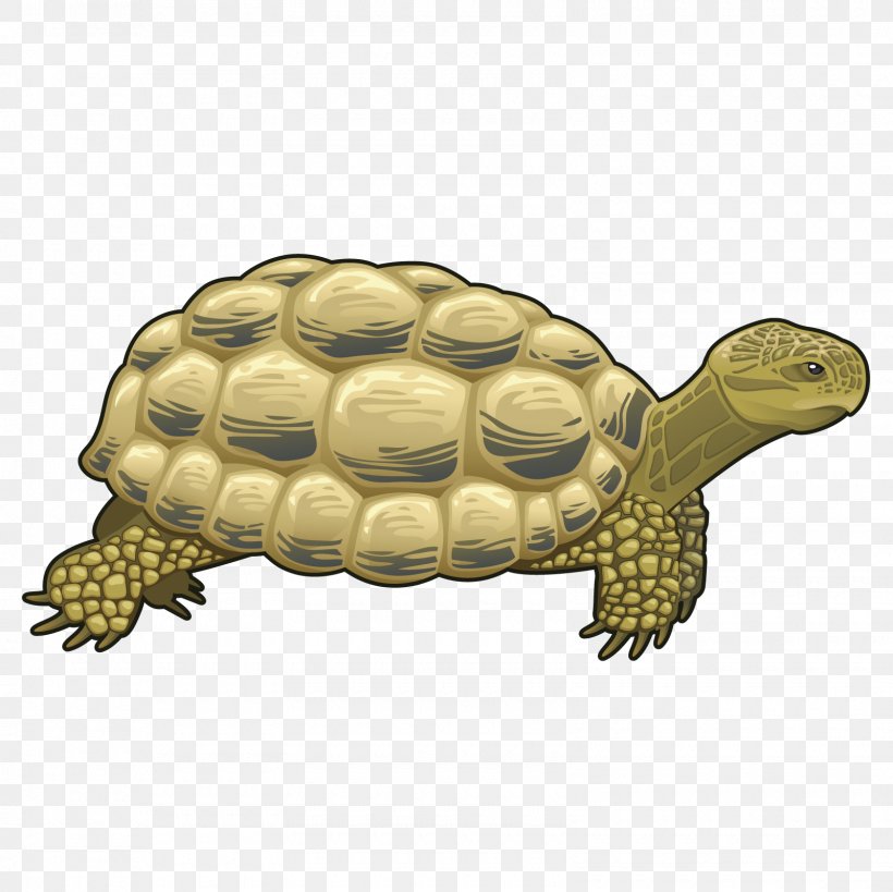 Vector Graphics Illustration Clip Art Stock Photography Image, PNG, 1600x1600px, Stock Photography, Box Turtle, Chelydridae, Common Snapping Turtle, Drawing Download Free