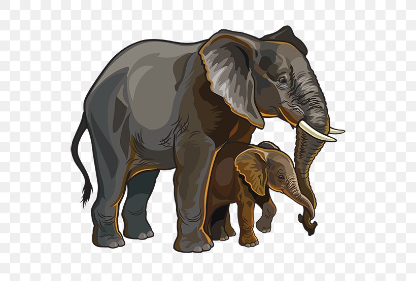 African Elephant Clip Art, PNG, 555x555px, African Elephant, Can Stock Photo, Cattle Like Mammal, Child, Elephant Download Free