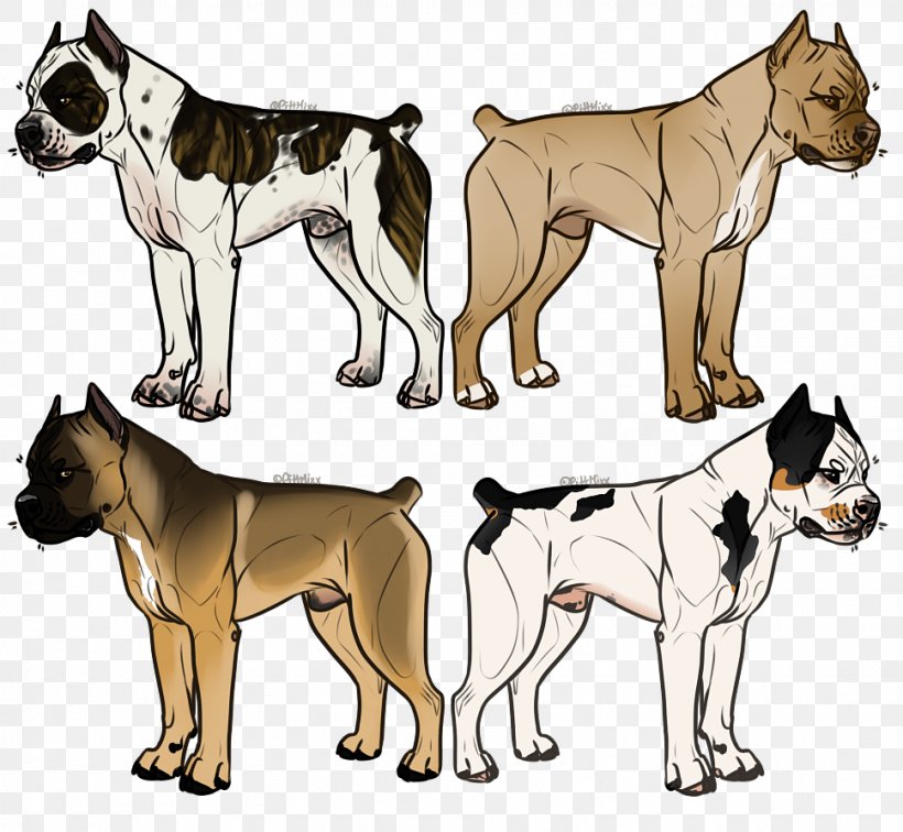 Ancient Dog Breeds, PNG, 969x894px, Dog Breed, Ancient Dog Breeds, Breed, Carnivoran, Dog Download Free