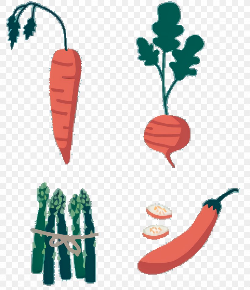 Tree Root, PNG, 924x1072px, Vegetable, Baby Carrot, Carrot, Daikon, Food Download Free