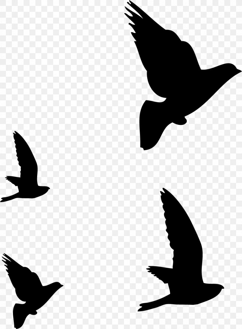 Bird Columbidae Silhouette, PNG, 951x1294px, Bird, Art, Beak, Bird Flight, Black And White Download Free