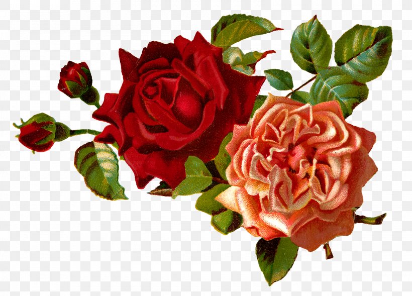 Flower Rose Floral Design Clip Art, PNG, 1600x1150px, Flower, Artificial Flower, Cut Flowers, Digital Image, Floral Design Download Free