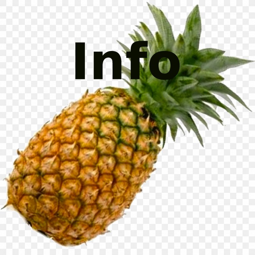Pineapple Marmalade Fruit Food Vegetable, PNG, 2048x2048px, Pineapple, Ananas, Auglis, Bromeliaceae, Caramel Download Free