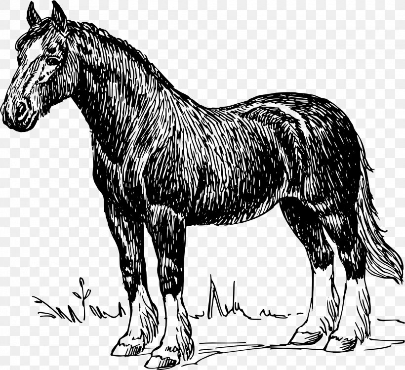 Shire Horse Clydesdale Horse Percheron Stallion Draft Horse, PNG, 1920x1756px, Shire Horse, Animal Figure, Black, Blackandwhite, Clydesdale Horse Download Free