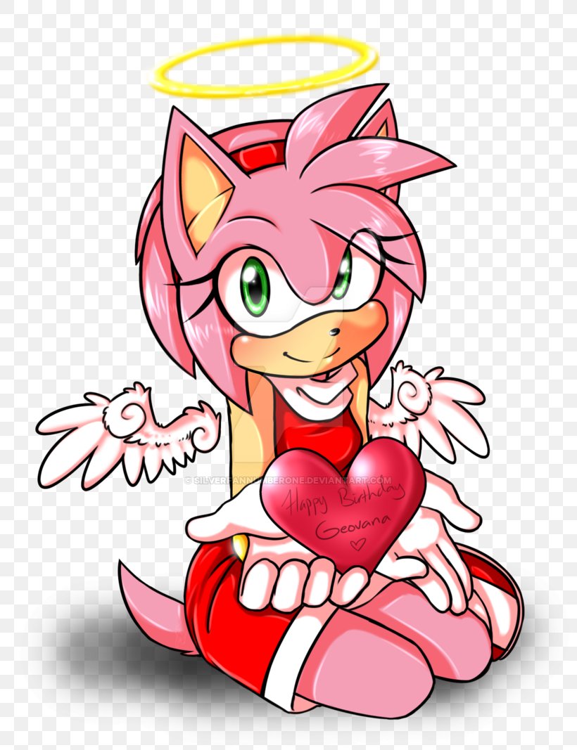 Amy Rose Sonic The Hedgehog Sonic Riders Metal Sonic, PNG, 800x1067px, Watercolor, Cartoon, Flower, Frame, Heart Download Free