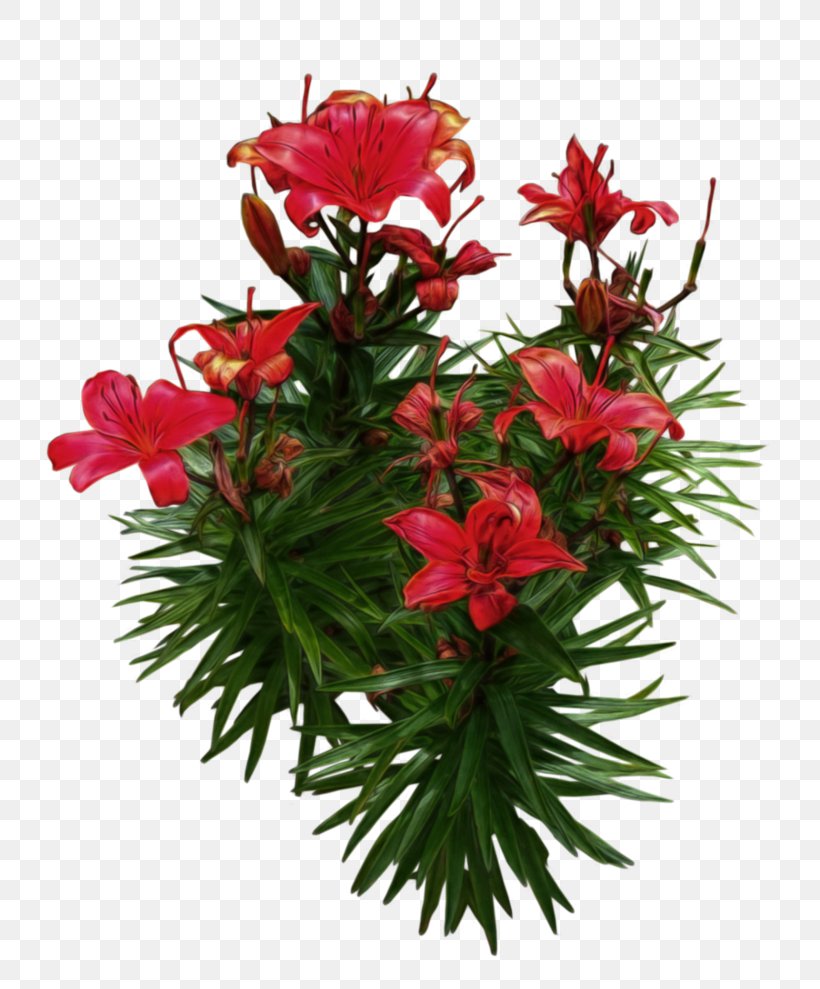 Flowerpot Bucket Flower Box Garden Barrel, PNG, 807x989px, Flowerpot, Annual Plant, Barrel, Box, Bucket Download Free