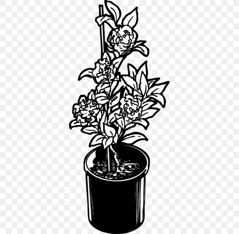 Flowerpot Flowering Plant Font Black, PNG, 800x800px, Flower, Black, Black And White, Flora, Flowering Plant Download Free