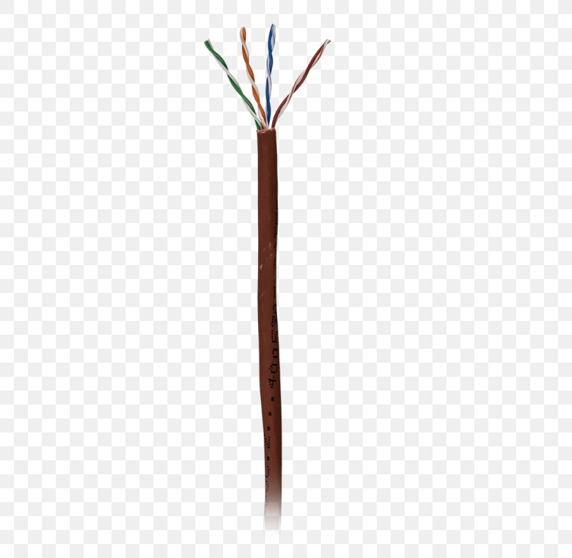 Line, PNG, 800x800px, Cable, Branch, Plant Stem, Twig Download Free