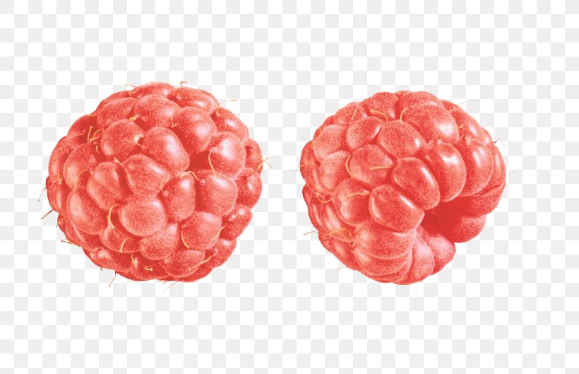 Raspberry Clip Art, PNG, 760x529px, Raspberry, Berry, Brain, Food, Fruit Download Free