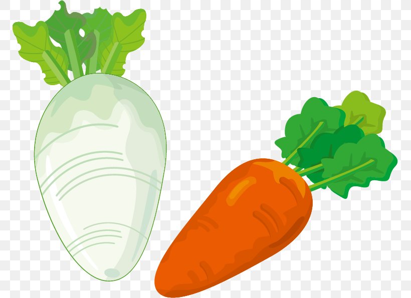 Ukha Fish Soup Carrot Clip Art, PNG, 769x595px, Ukha, Carrot, Drawing, Fish Soup, Food Download Free