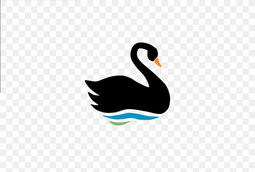 The Black Swan: The Impact Of The Highly Improbable Duck Bird Black Swan Theory, PNG, 2136x1440px, Black Swan, Anatidae, Animal, Beak, Bird Download Free