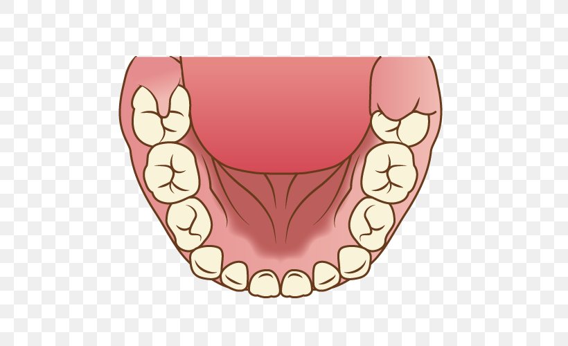 Tooth Molar 歯科, PNG, 500x500px, Watercolor, Cartoon, Flower, Frame, Heart Download Free