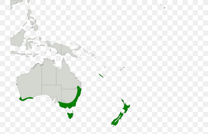 Australia World Map, PNG, 738x527px, Australia, Area, Blank Map, Continent, Geography Download Free