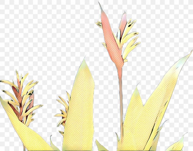 Cartoon Grass, PNG, 1210x945px, Grasses, Commodity, Flower, Grass, Grass Family Download Free
