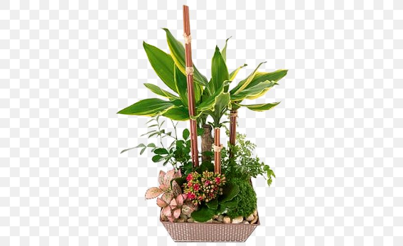 Flower Green Succulent Plant Composition Florale, PNG, 500x500px, Flower, Composition Florale, Cut Flowers, Fleurs Nature, Floral Design Download Free
