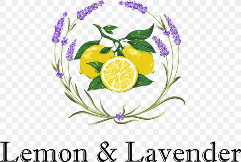 Lemon & Lavender Drawing Lemonade, PNG, 1000x674px, Lemon Lavender, Artwork, Brand, Citrus, Drawing Download Free