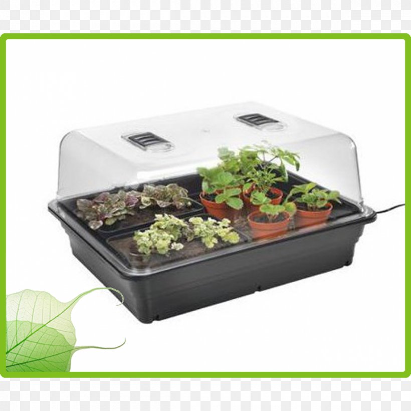 Propagator Plant Propagation Control Variable Seed, PNG, 1200x1200px, Propagator, Control Variable, Cookware Accessory, Cutting, Electricity Download Free