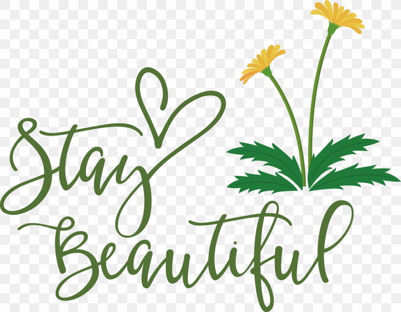 Stay Beautiful Fashion, PNG, 3000x2337px, Stay Beautiful, Cut Flowers, Fashion, Floral Design, Flower Download Free