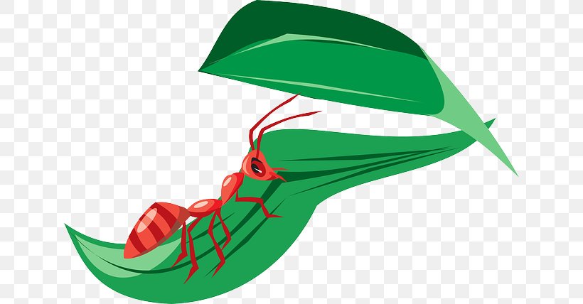 Student Download Ant Clip Art, PNG, 640x428px, Student, Ant, Green, Leaf, Learning Download Free