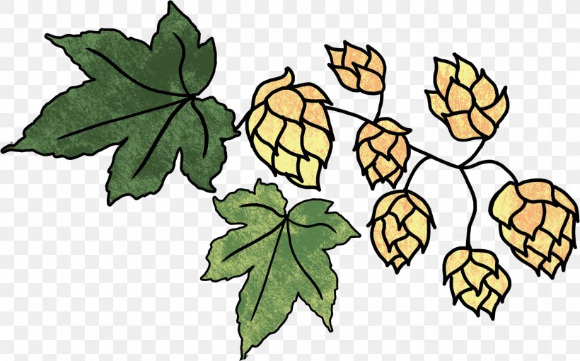 Beer Hops Brewing Brewery Clip Art, PNG, 1939x1208px, Beer, Artwork, Bottle, Branch, Brewery Download Free