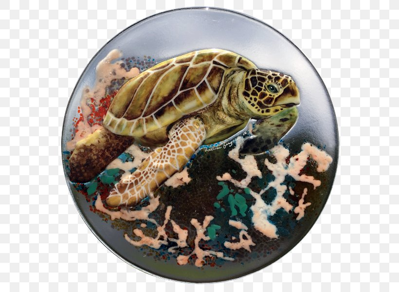 Box Turtles Tortoise Sea Turtle, PNG, 594x600px, Box Turtles, Box Turtle, Emydidae, Reptile, Sea Turtle Download Free