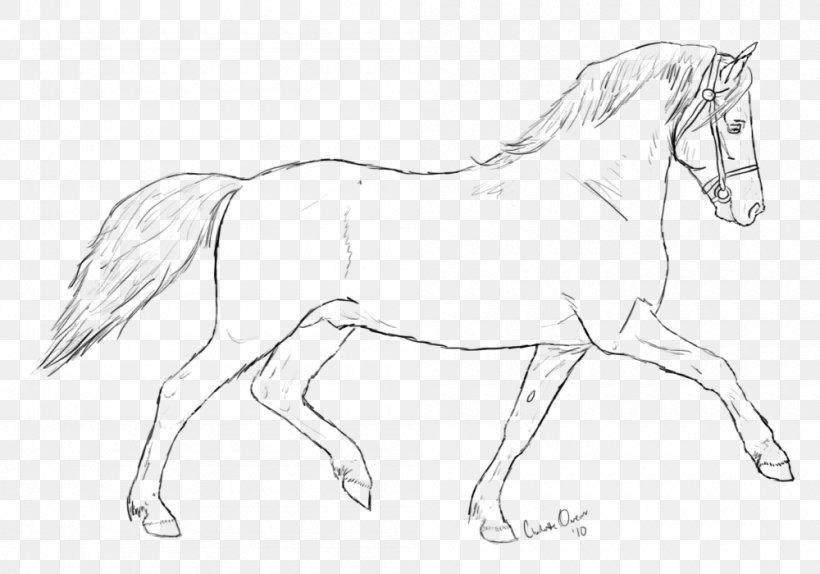 Bridle Mane Mustang Stallion Colt, PNG, 1000x700px, Bridle, Animal Figure, Arm, Artwork, Black And White Download Free
