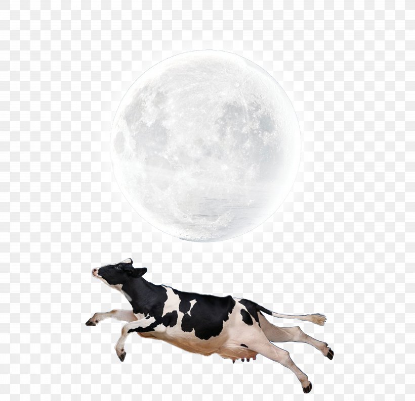 Moon Lunar Phase Wallpaper, PNG, 5031x4875px, Cattle, Canidae, Dairy Cattle, Dog Like Mammal, Lua Download Free