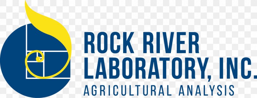 Rock River Lab Shenwan Hongyuan Hongyuan Securities Organization Company, PNG, 1008x385px, Organization, Area, Blue, Brand, Capital Download Free