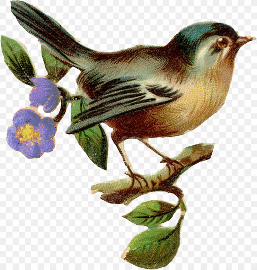 Birdcage House Wren Clip Art, PNG, 1000x1051px, Bird, Beak, Bird Nest, Birdcage, Chickadee Download Free
