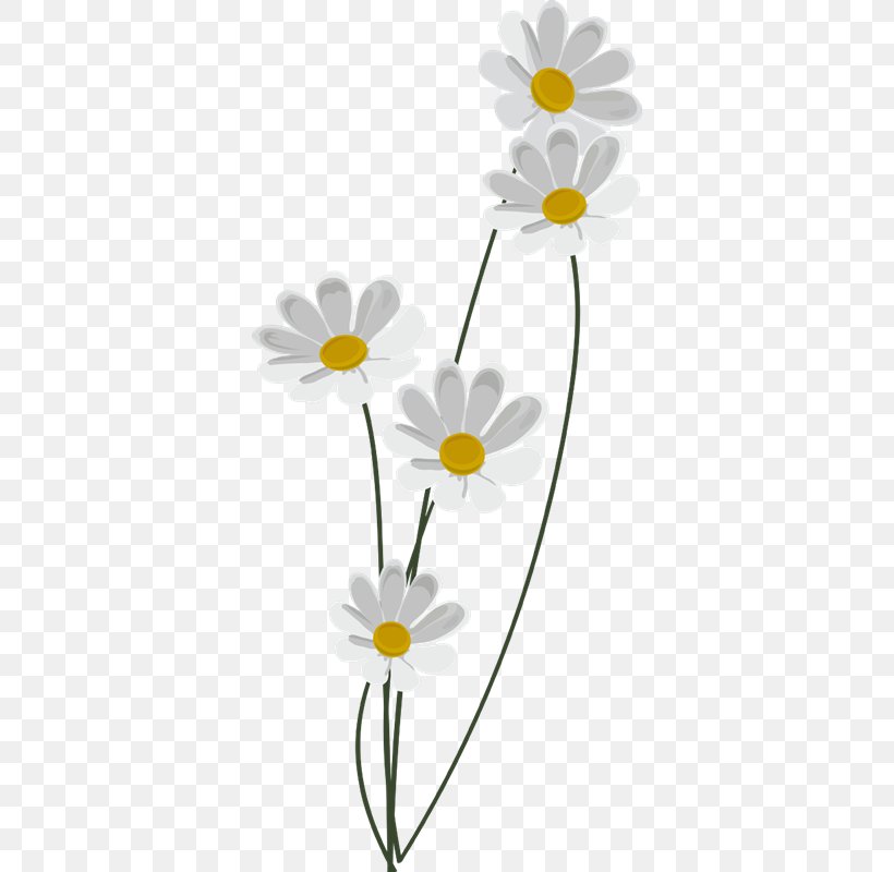 Common Daisy Oxeye Daisy Floral Design Roman Chamomile, PNG, 358x800px, Common Daisy, Chamaemelum Nobile, Chamomiles, Daisy, Daisy Family Download Free